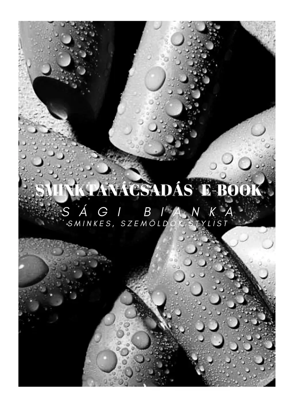 Sági Bianka Sminkes Pécs ebook